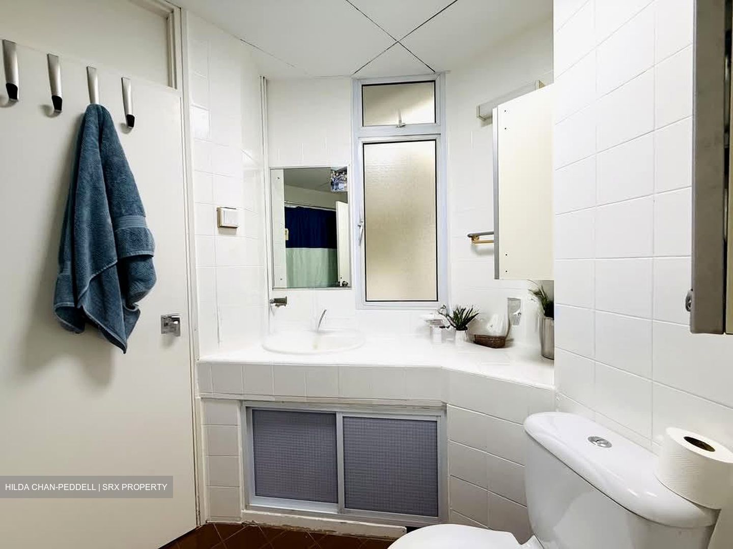 Elizabeth Heights (D9), Condominium #602246201